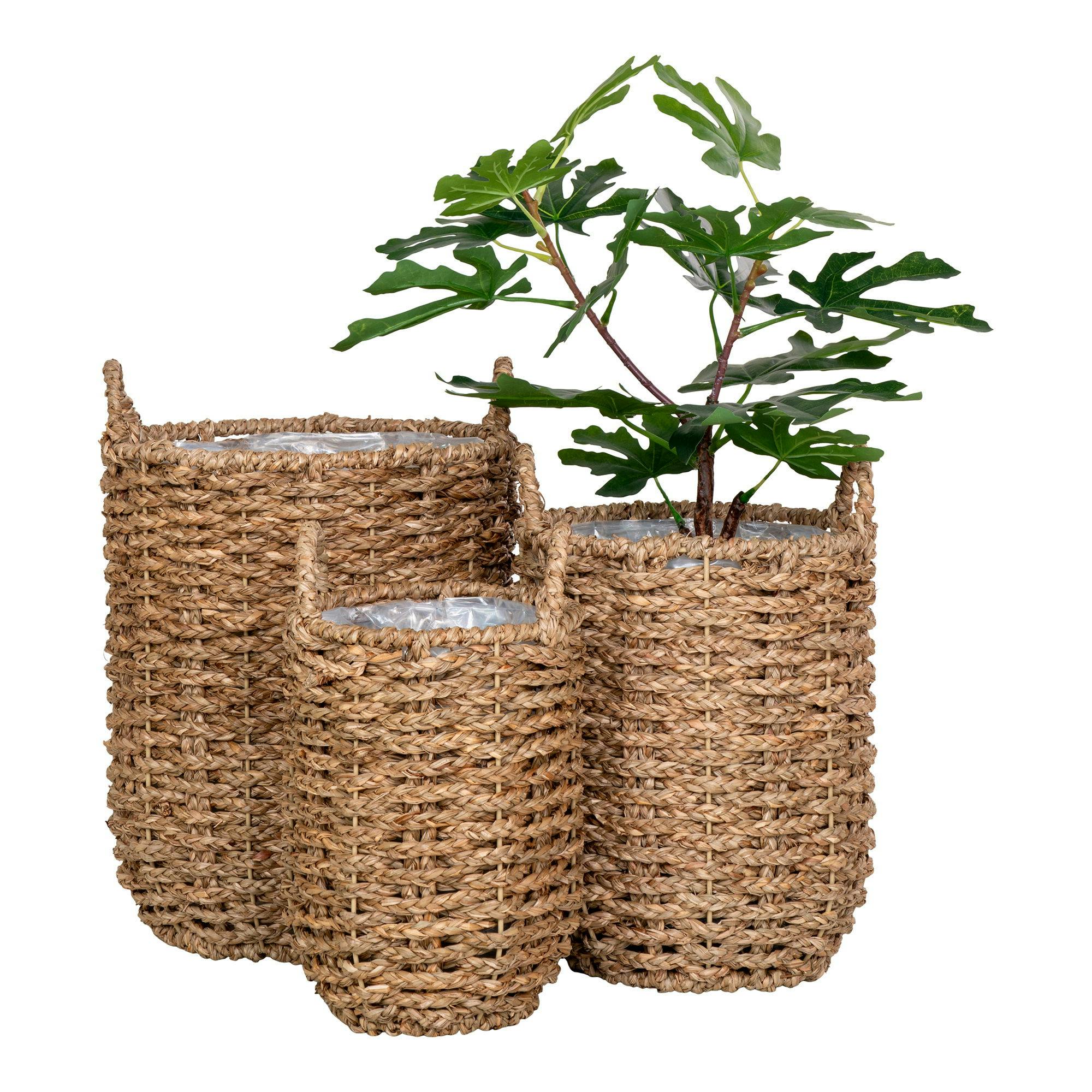 Cache-pot en jonc de mer avec anses (lot de 3)
