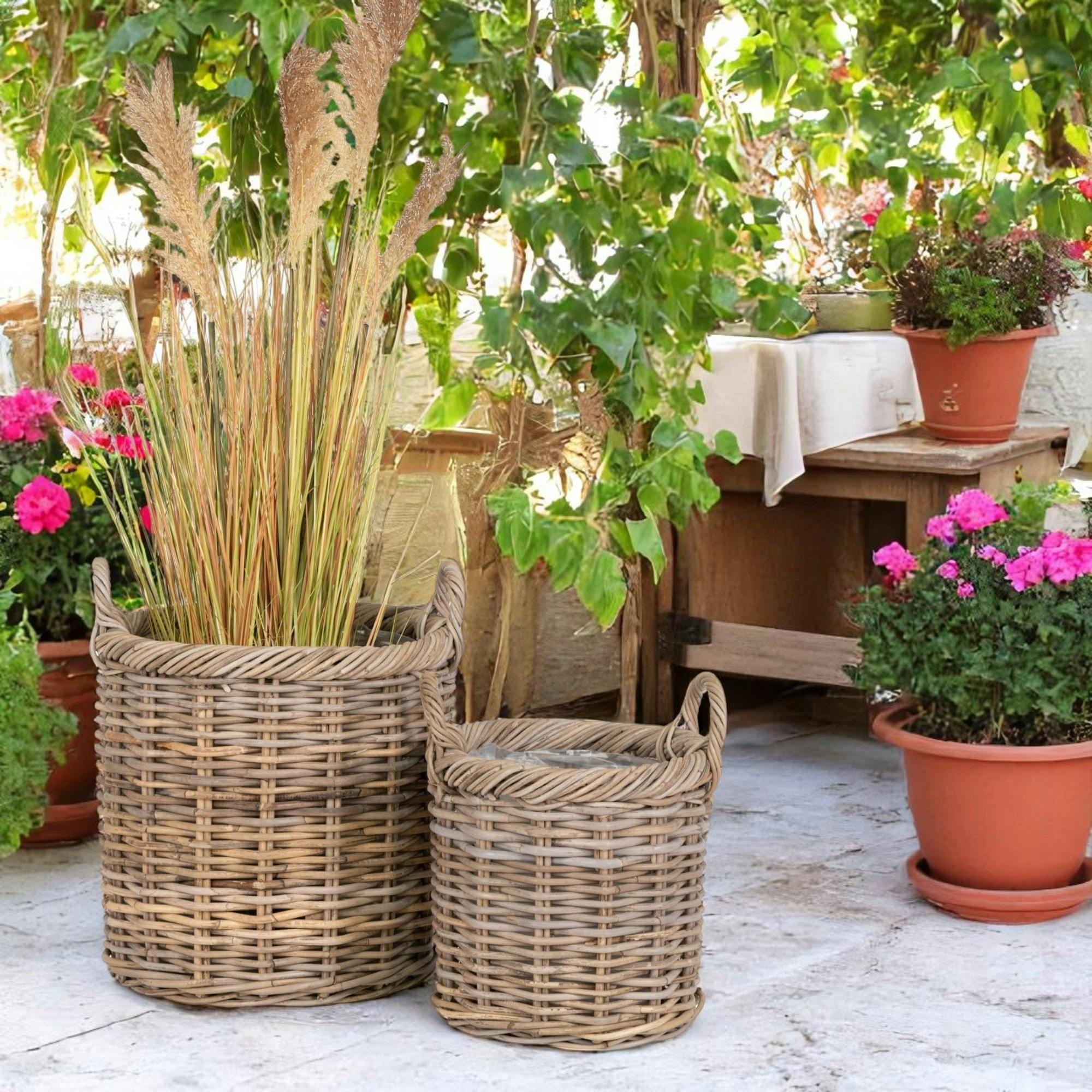 Cache-pot haut pour plantes ou graminées (lot de 2)