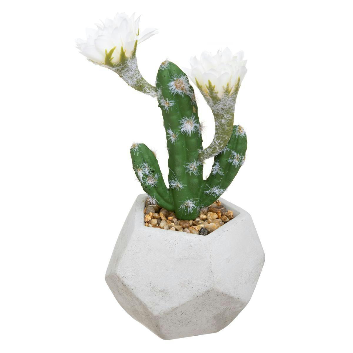 Cactus 3 branches en pot