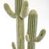 Cactus artificiel en pot 207 cm