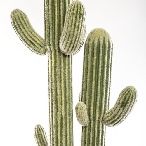 Cactus artificiel en pot 207 cm