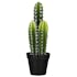 Cactus artificiel en pot H 38 cm