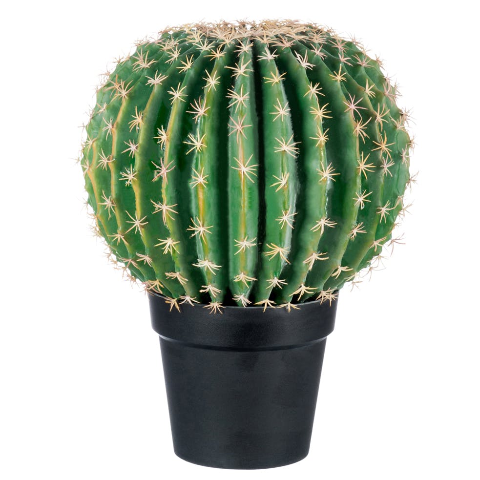 Cactus boule en pot résine - D36 H46cm