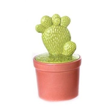  Cactus déco forme "main" dans son pot en terracotta 10,5x10,5x20cm