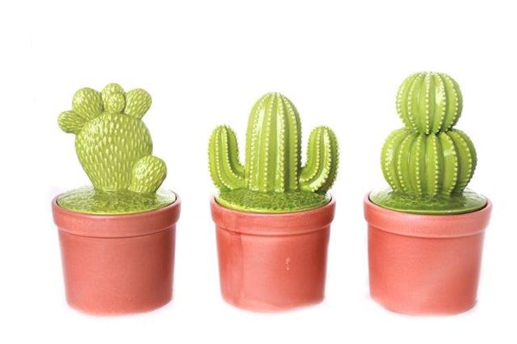Cactus déco forme "main" dans son pot en terracotta 10,5x10,5x20cm