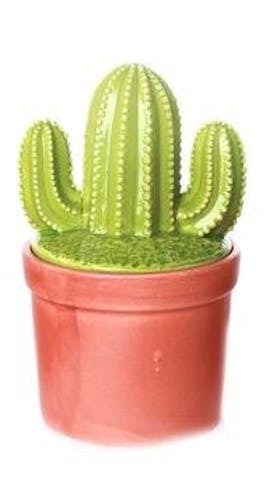 Cactus déco forme "T à l'envers" dans son pot en terracotta 10,5x10,5x20cm