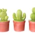 Cactus déco forme "T à l'envers" dans son pot en terracotta 10,5x10,5x20cm