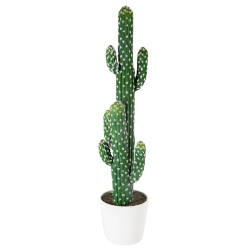 Cactus double dans pot céramique H77cm