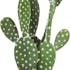 Cactus en pot H42cm M1