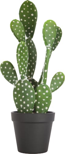 Cactus en pot H42cm M1