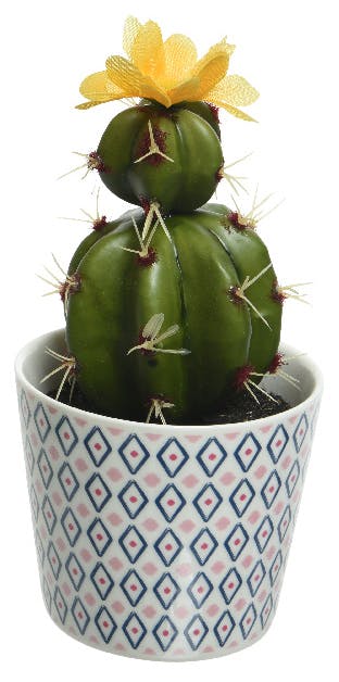 Cactus fleuri fleur jaune en pot décoré