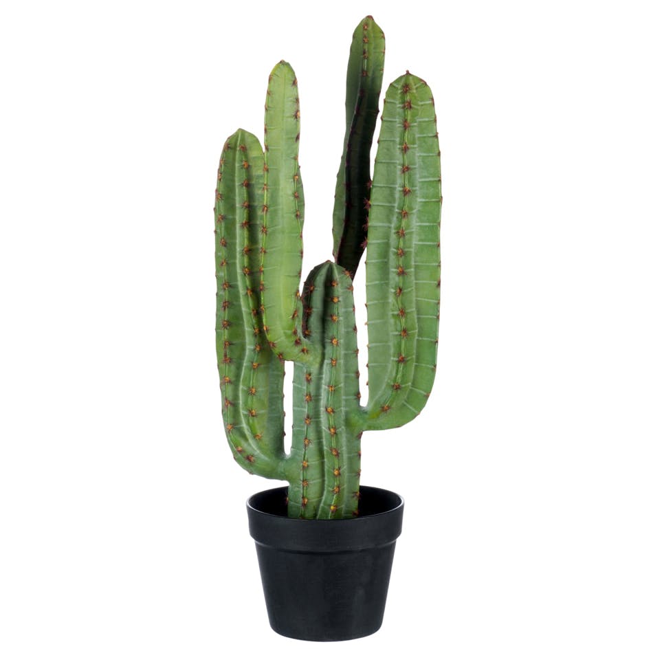 Cactus vert à bras - D25 H69cm