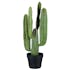 Cactus vert à bras - D25 H69cm
