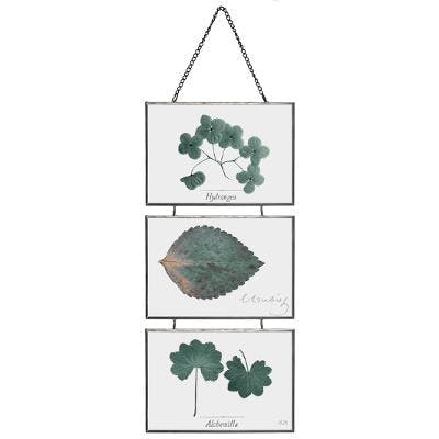 Cadres superposés métal verre herbier