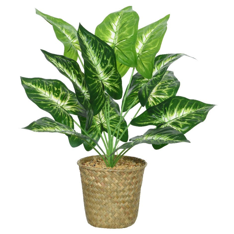 Calathéa artificielle en pot, 42 cm