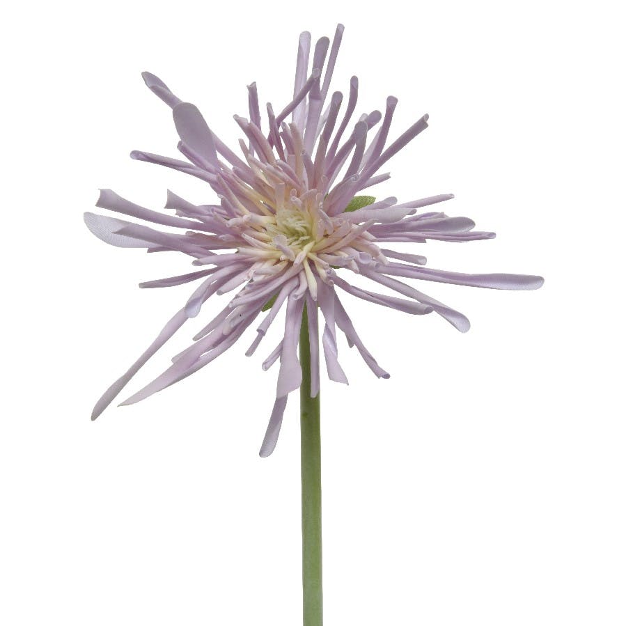 Chrysanthème artificiel, couleur lilas