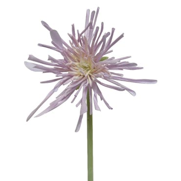  Chrysanthème artificiel, couleur lilas