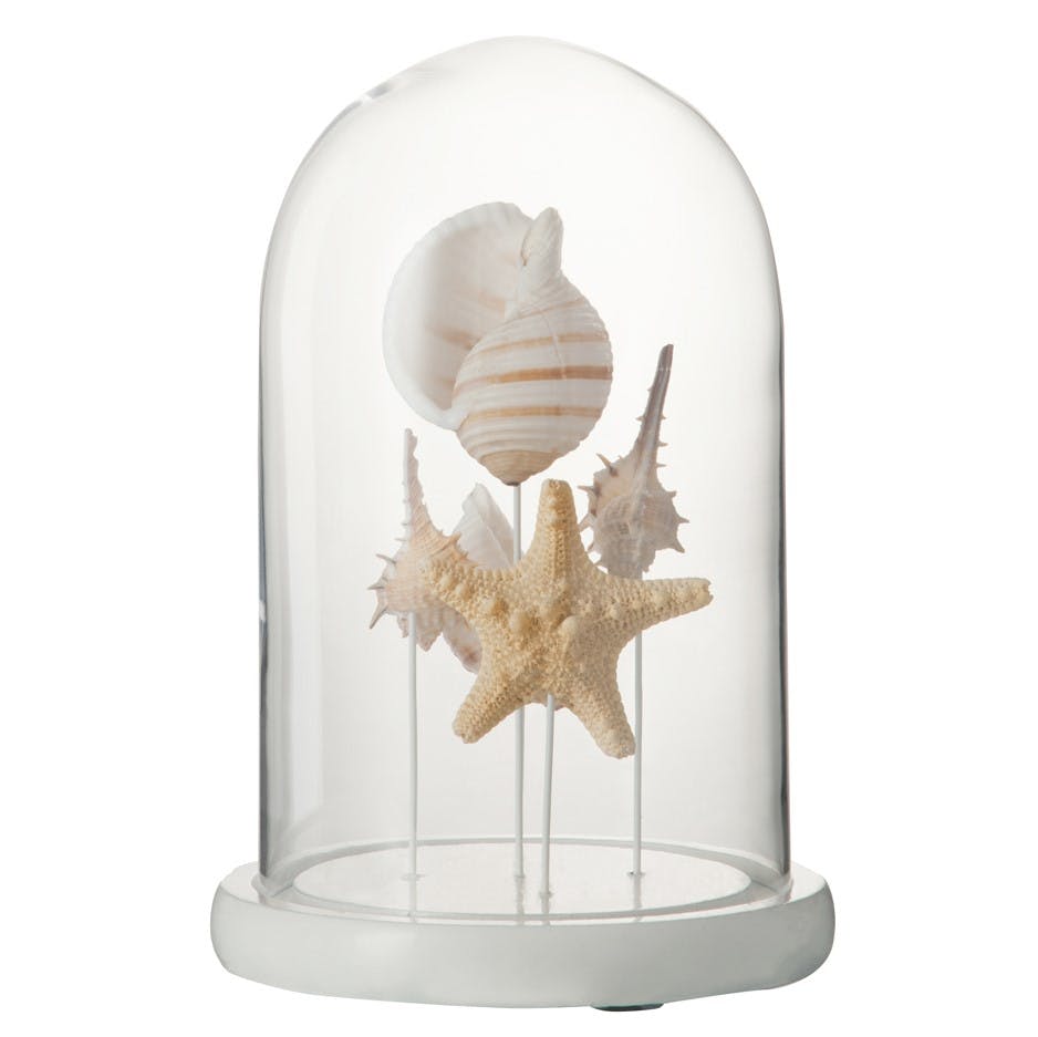 Cloche verre décorative coquillages réf. 30021935