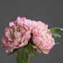 Composition florale bouquet de 3 PIVOINES roses