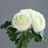 Composition florale bouquet de 3 renoncules blanches