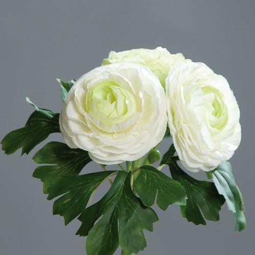 Composition florale bouquet de 3 renoncules blanches