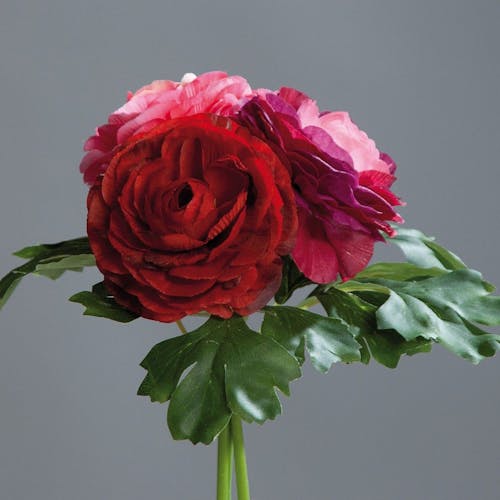 Composition florale bouquet de 3 renoncules rouges/fuchsia
