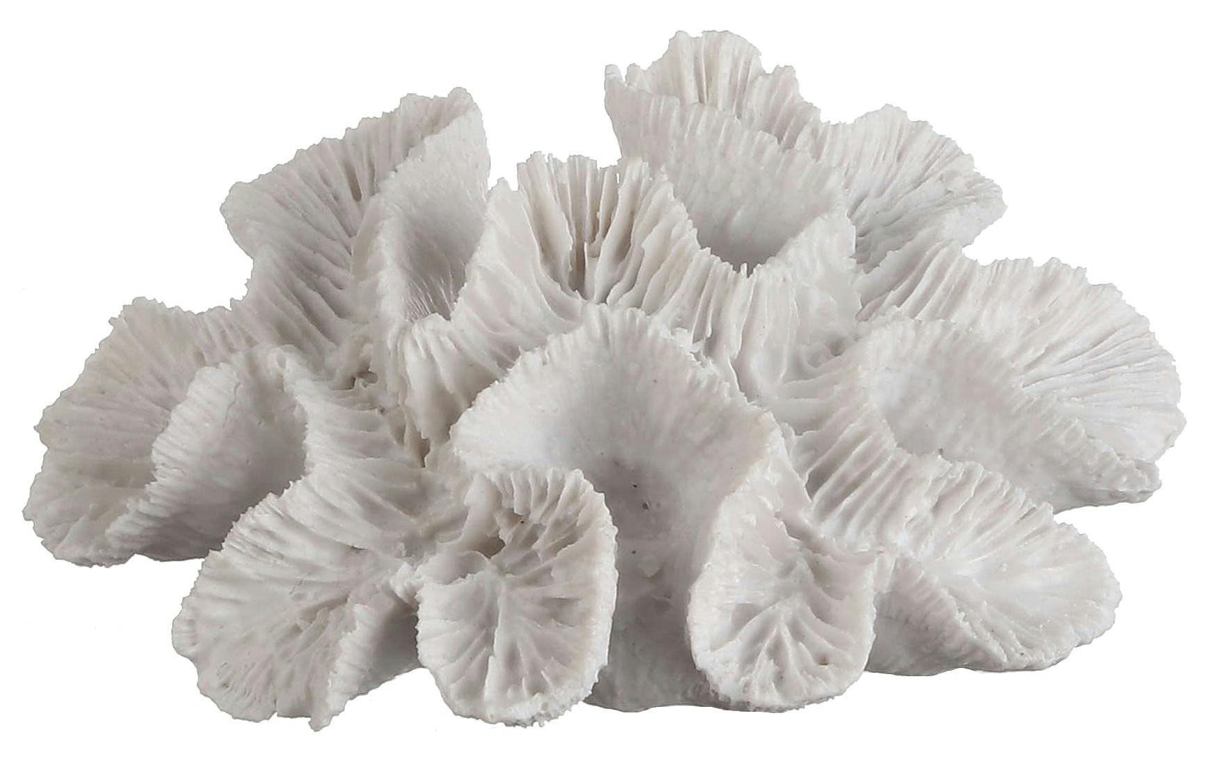 Corail de décoration blanc 10 cm