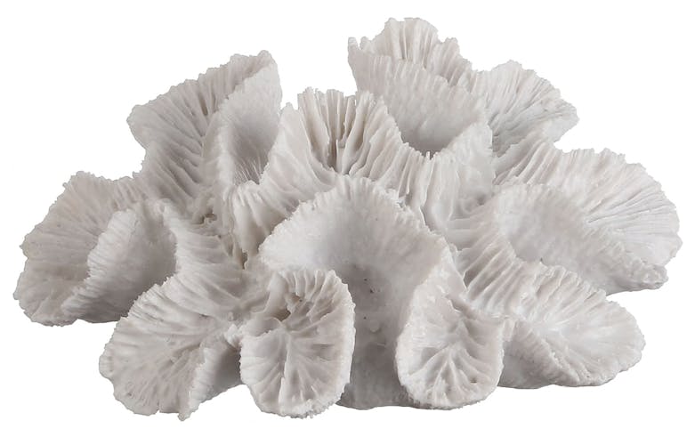 Corail de décoration blanc 16 cm