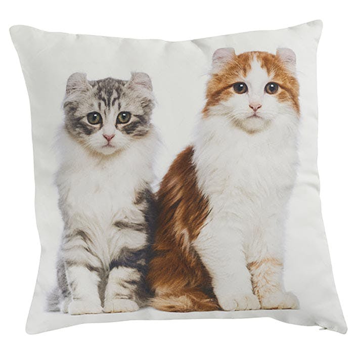 Coussin 2 chats marron et gris 45x45cm