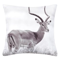 Coussin carré imprimé gazelle 40x40cm BENIN