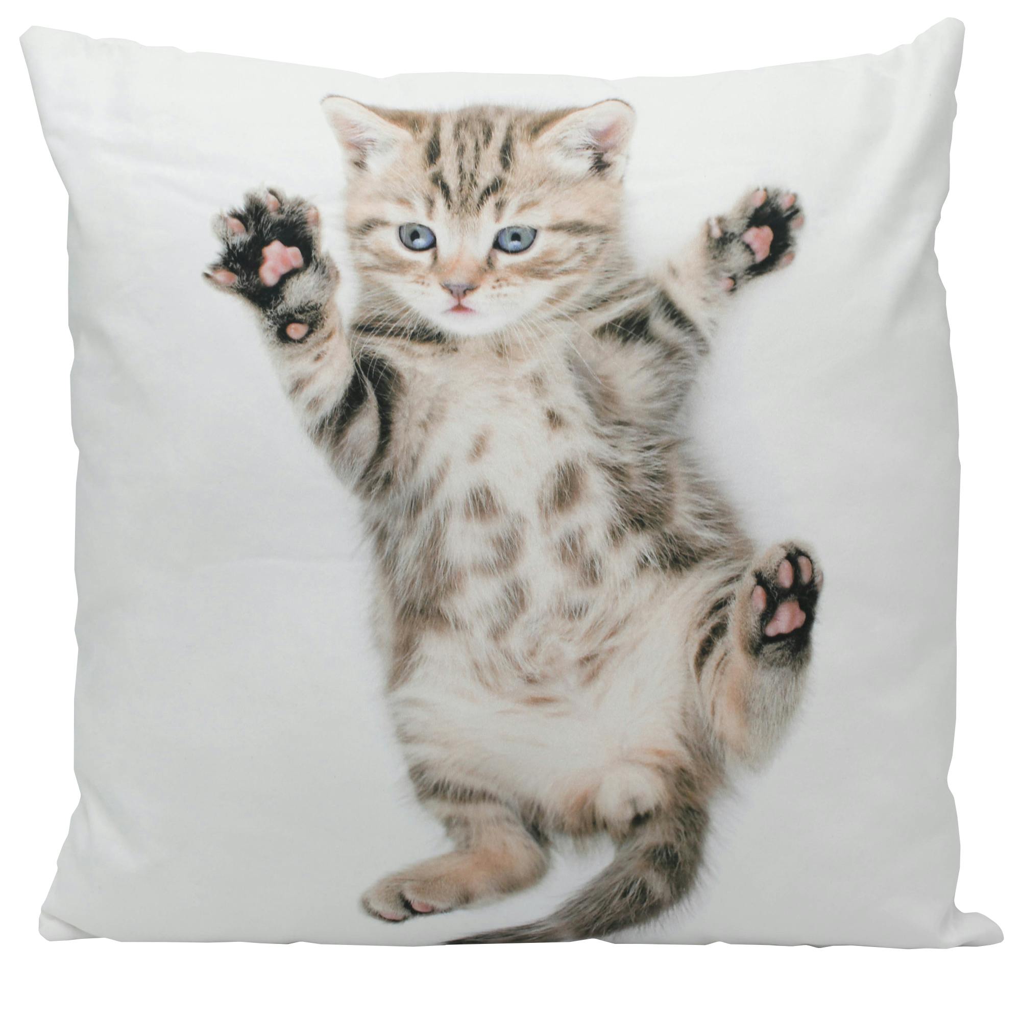 Coussin chat 45x45 cm
