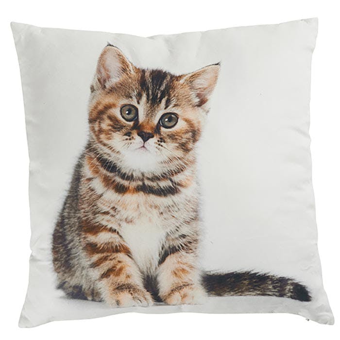 Coussin chaton tigré marron 45x45cm