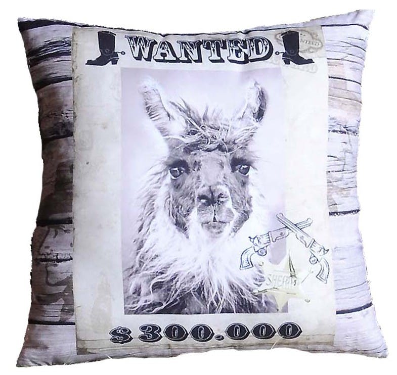 Coussin humour Wanted Lama 40x40cm WANTED