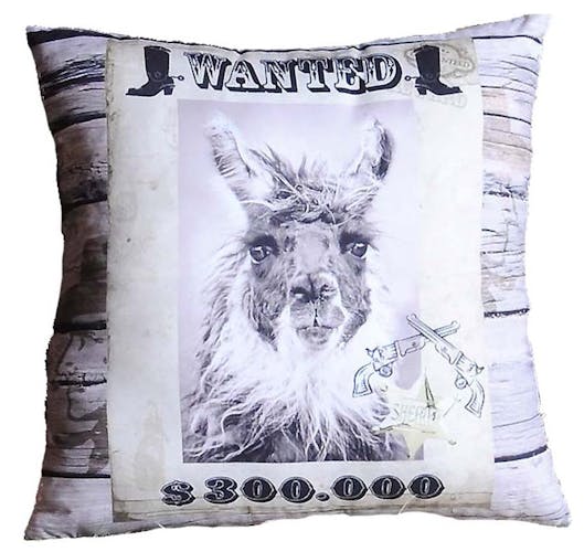 Coussin humour Wanted Lama 40x40cm WANTED