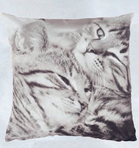Coussin imprimé Deux Chats Tigrés noir et blanc 45x45cm