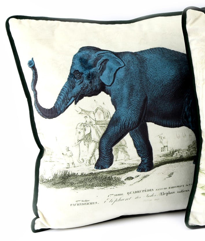Coussin safari éléphant