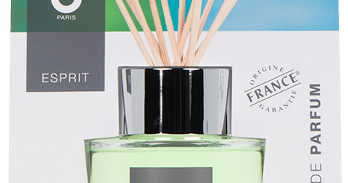 Diffuseur de parfum Esprit Menthe Froissée CLEM GOA 200ml | Bougies ...