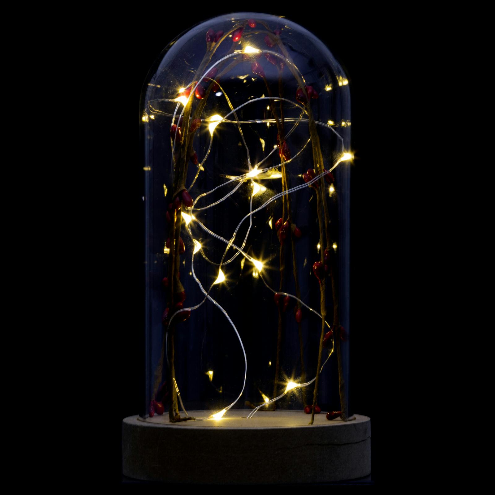 Dôme lumineux décor  baies 15 LED