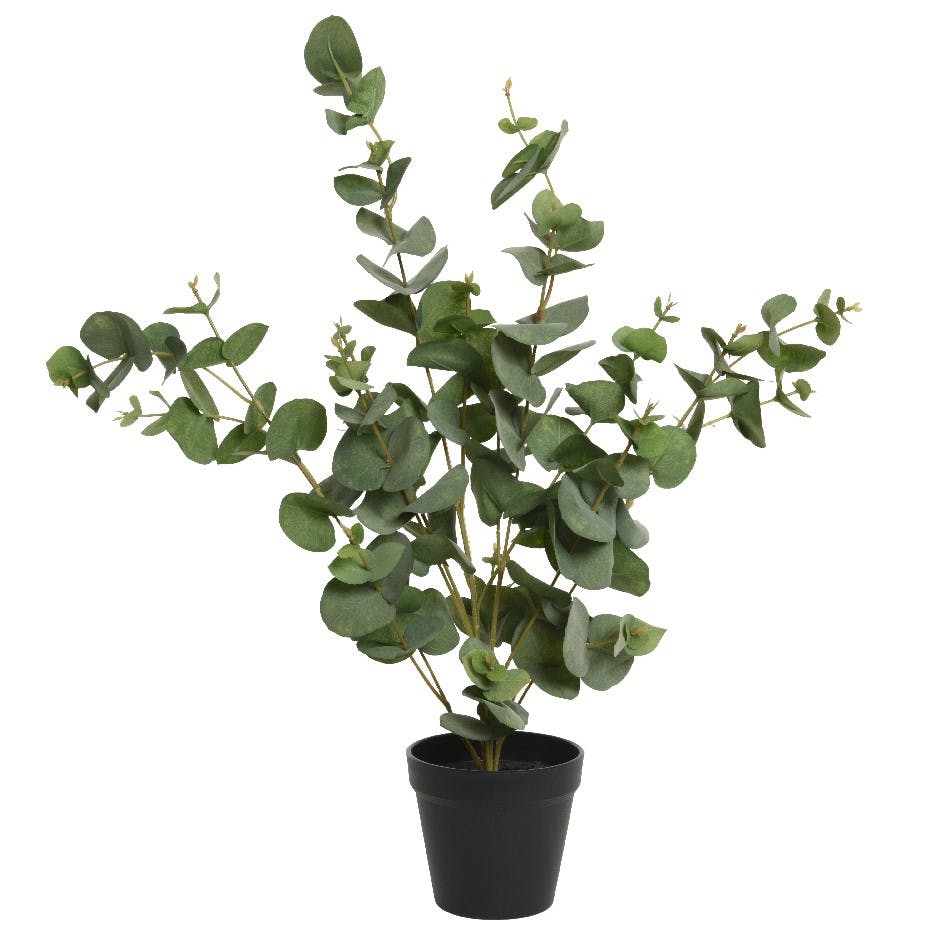 Eucalyptus artificiel en pot, 60 cm