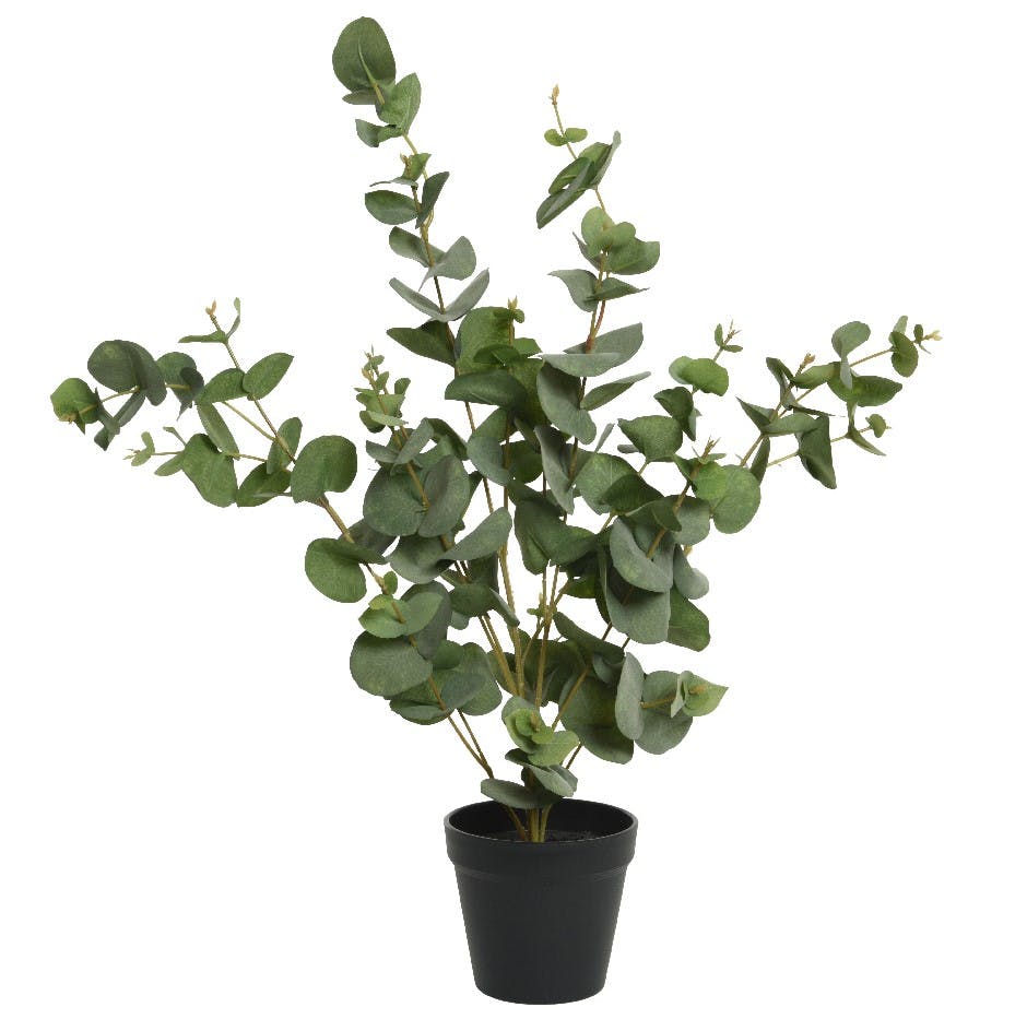 Eucalyptus artificiel avec pot en plastique noir, plante artificielle