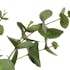 Eucalyptus artificiel en pot, 60 cm