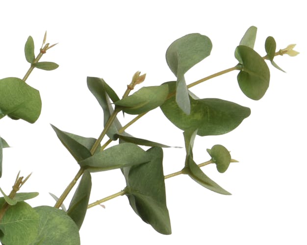 Eucalyptus artificiel en pot, 60 cm