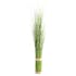 Fagot de Bambou en herbe D11xH116cm