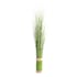 Fagot de Bambou en herbe D6xH60cm