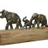 Famille d'éléphants sur tronc