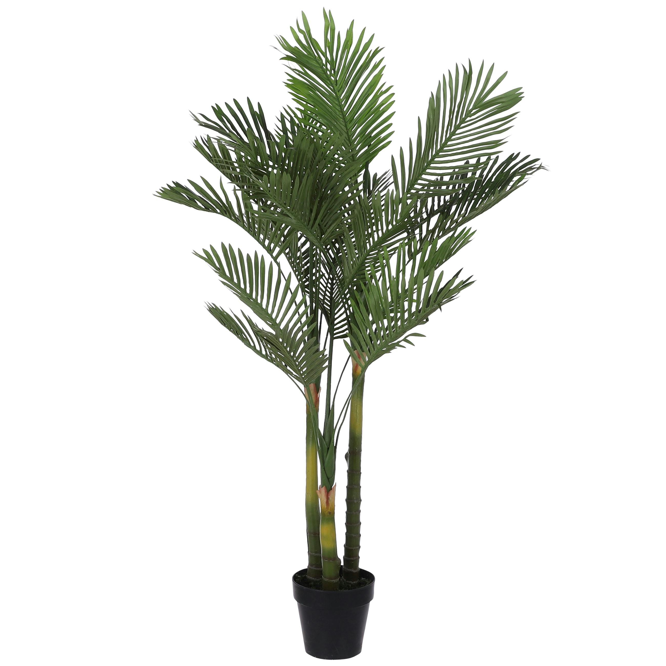 Feuilles de palmier en pot 145 cm