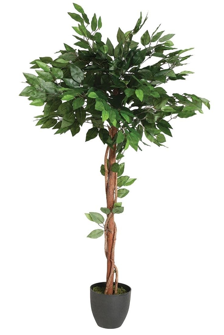 Ficus boule sur tige en pot rond noir feuillage tissu polyester H120cm