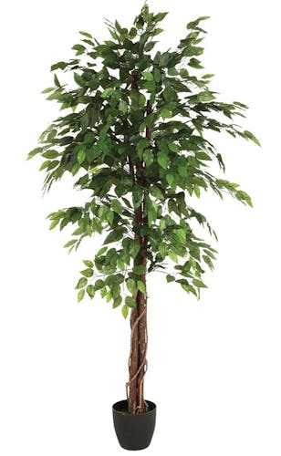 Ficus longue tige bois en pot rond noir feuillage tissu polyester H180cm