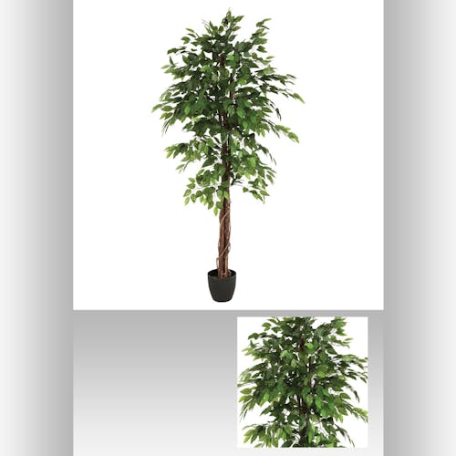 Ficus longue tige bois en pot rond noir feuillage tissu polyester H180cm