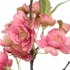 Fleur artificielle rose de printemps